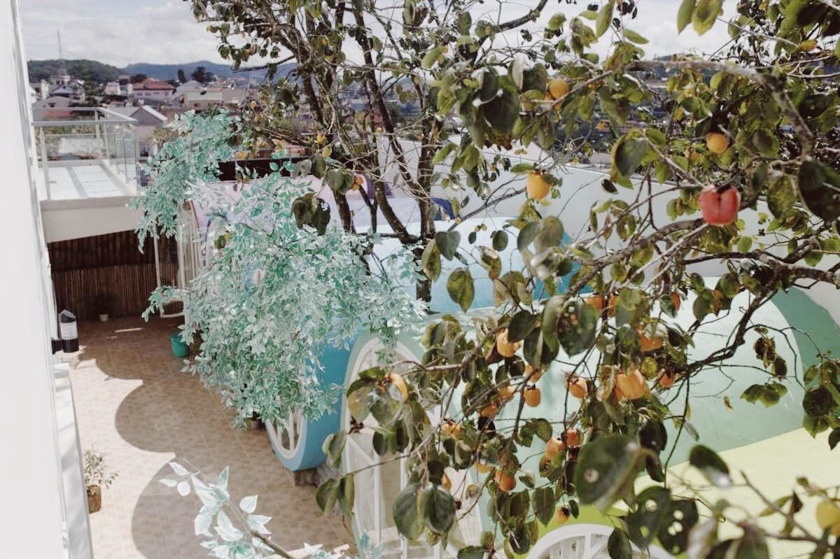 Queen Hostel دالات المظهر الخارجي الصورة